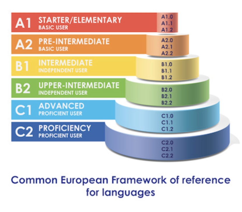 Learning a language at B1 level.